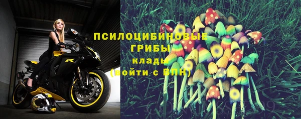 круглые Вяземский